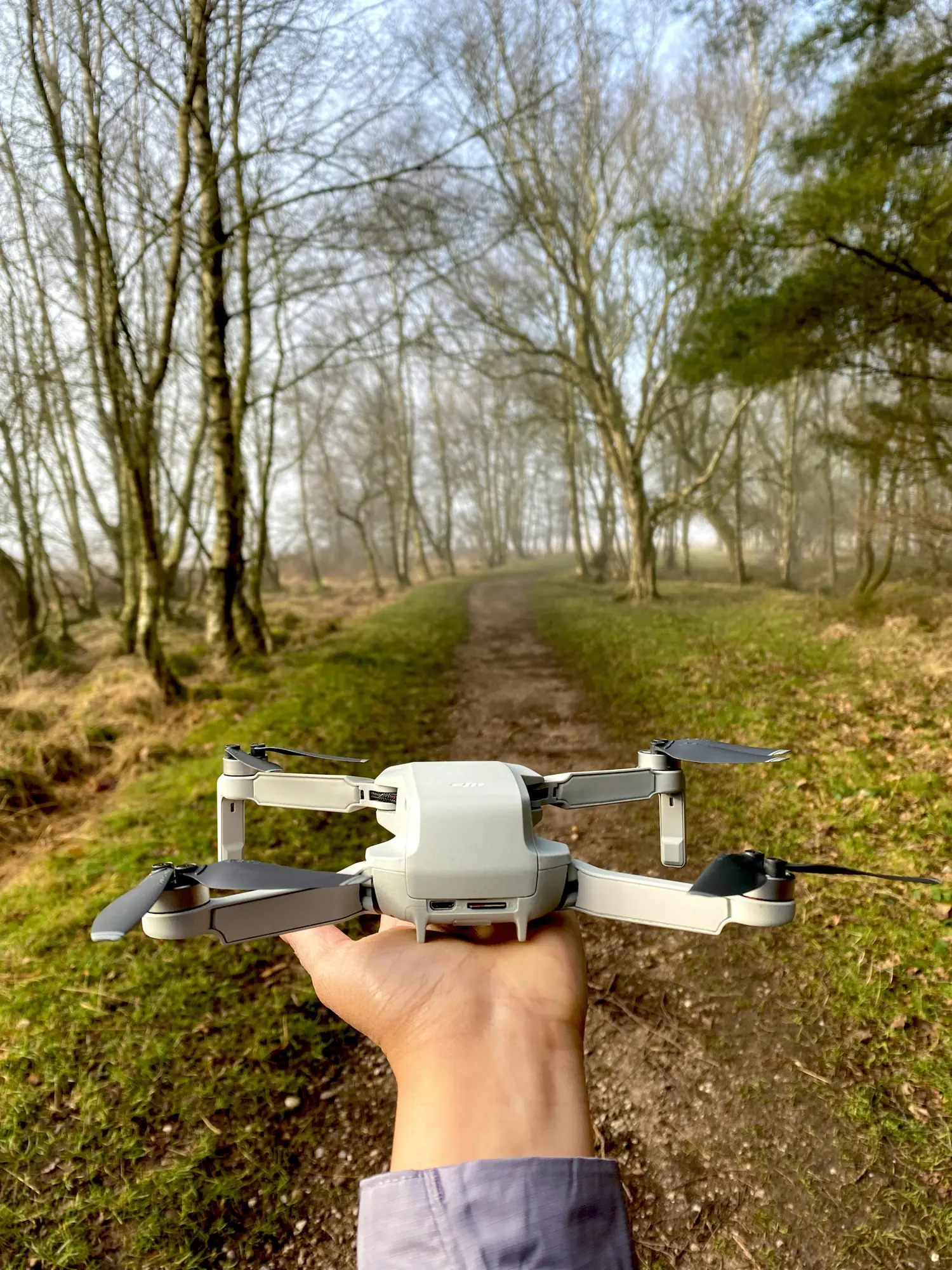 Drone being launched in English woodland