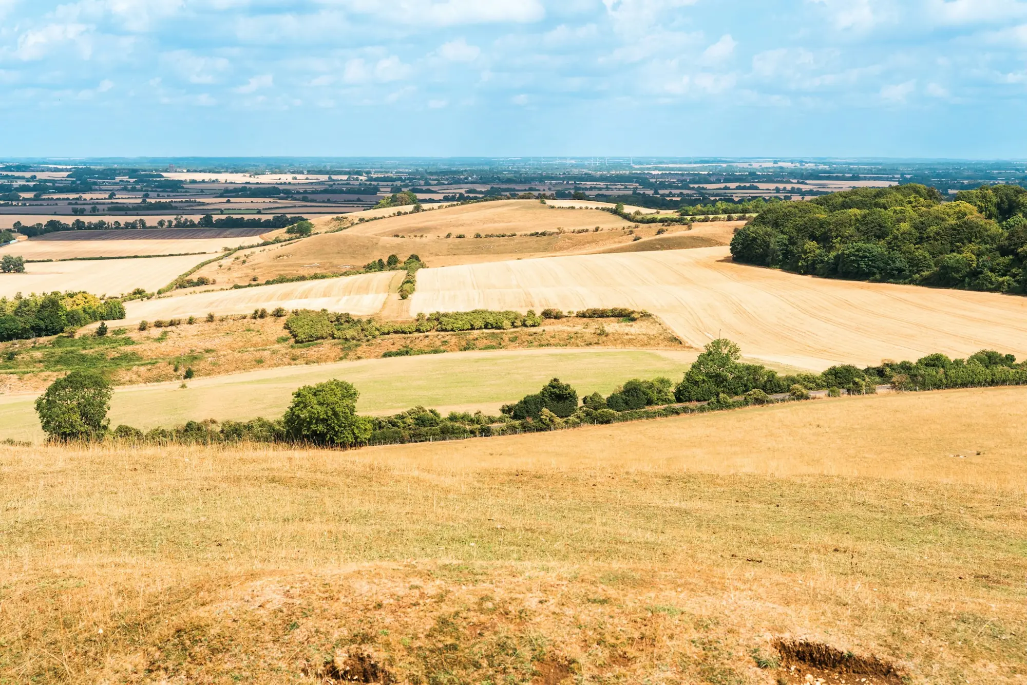 Aerial drone view of hedgerows and field margins